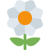 🌼 Significado del Emoji Flor